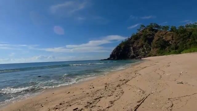 Тёмная полосатая рыба в мутной воде у побережья Восточного Тимора