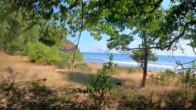Тёмная полосатая рыба в мутной воде у побережья Восточного Тимора