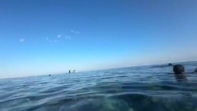 Час наблюдения за женщинами с ружьями для подводной охоты у Адары в Восточном Тиморе