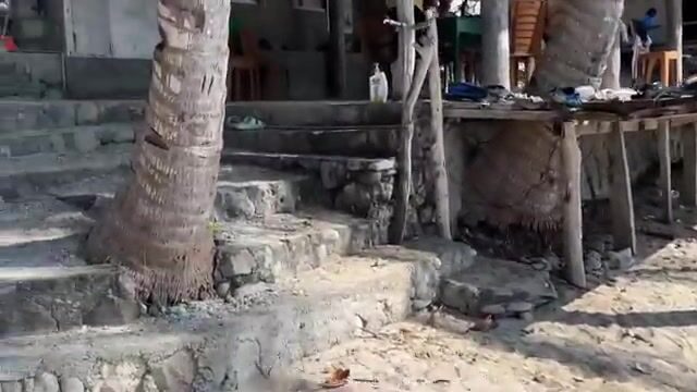 Час наблюдения за женщинами с ружьями для подводной охоты у Адары в Восточном Тиморе