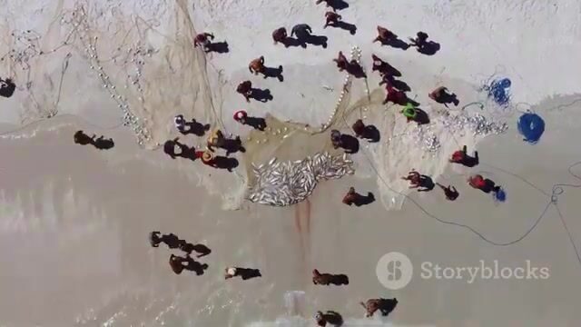 Путь улова от переработки до рынков Сан-Томе и Принсипи