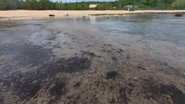 Подводная охота за рыбой-попугаем и ужин с ямсом на острове Эуа в Тонге
