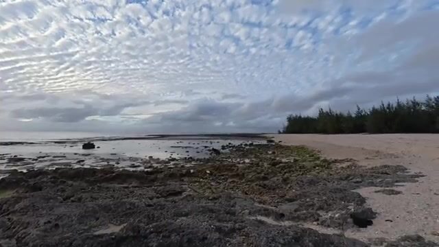 Подводная охота за рыбой-попугаем и ужин с ямсом на острове Эуа в Тонге