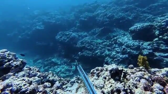 Подводная охота за рыбой-попугаем и ужин с ямсом на острове Эуа в Тонге