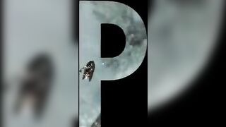 Контраст рифов атоллов Япа в Микронезии