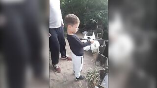 Семейная рыбалка на Одре во Вроцлаве