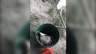 Семейная рыбалка на Одре во Вроцлаве