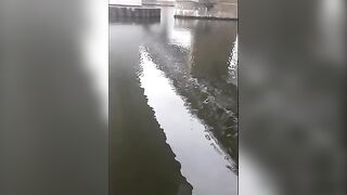 Семейная рыбалка на Одре во Вроцлаве