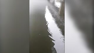 Семейная рыбалка на Одре во Вроцлаве