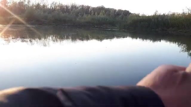 Две щуки и окунь на белую вертушку у Вислы в польском Вилянуве
