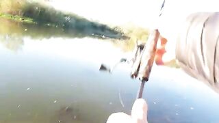 Две щуки и окунь на белую вертушку у Вислы в польском Вилянуве