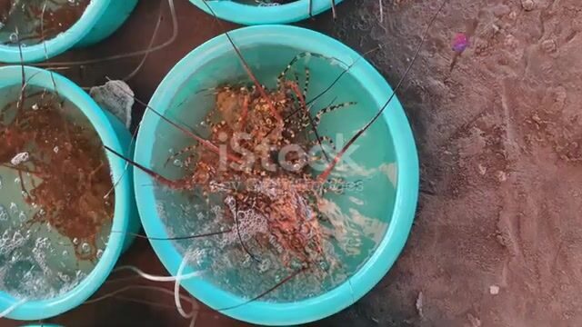 Традиционные пироги и ручная леска Сан-Томе и Принсипи