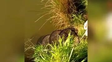 Рыбалка на коммерческом водоеме в Польше с подлещиками