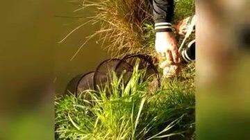 Рыбалка на коммерческом водоеме в Польше с подлещиками