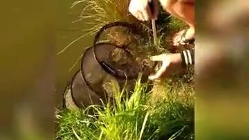 Рыбалка на коммерческом водоеме в Польше с подлещиками