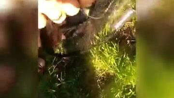 Рыбалка на коммерческом водоеме в Польше с подлещиками