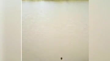 Рыбалка на коммерческом водоеме в Польше с подлещиками