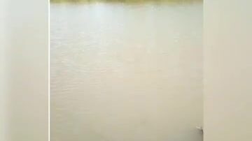 Рыбалка на коммерческом водоеме в Польше с подлещиками