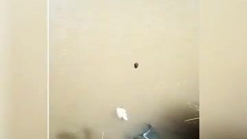 Рыбалка на коммерческом водоеме в Польше с подлещиками