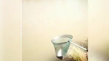 Рыбалка на коммерческом водоеме в Польше с подлещиками