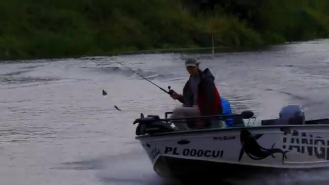 Сом 230 сантиметров из реки Одра в Польше с проводником