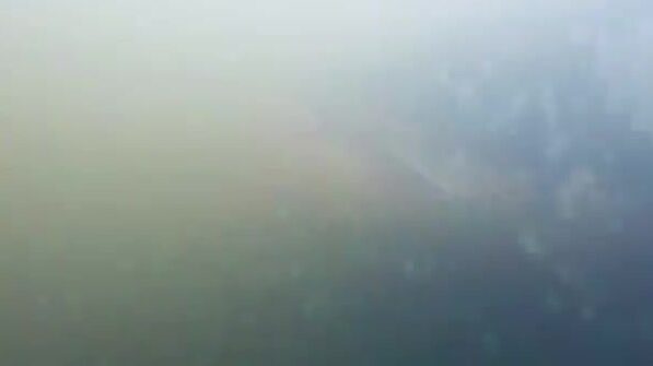 Сом 230 сантиметров из реки Одра в Польше с проводником