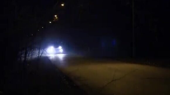 Сом 230 сантиметров из реки Одра в Польше с проводником