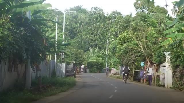 Соленая рыба и транспортные расходы Марии Ольги Андраде на Сан-Томе и Принсипи