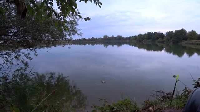 Ловля линя на озере в Польше