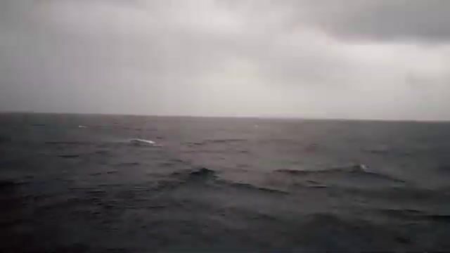 Большой улов летучей рыбы после долгой выборки на берегу у Сан-Томе и Принсипи
