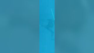 Командные подводные выходы с самодельными деревянными ружьями на Майотте