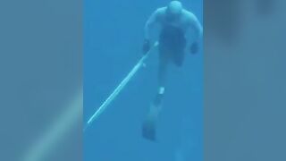 Командные подводные выходы с самодельными деревянными ружьями на Майотте