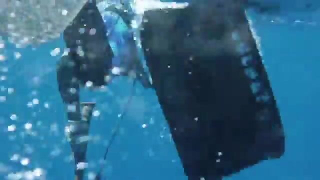 Командные подводные выходы с самодельными деревянными ружьями на Майотте