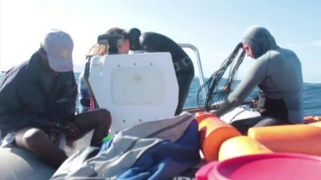 Командные подводные выходы с самодельными деревянными ружьями на Майотте