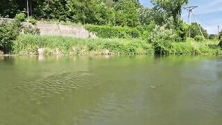 Сорок пустых минут и вечерние форели на нимфу на реке Дунаец