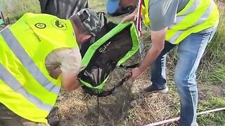 Командный титул Team Sensas на Одре в польских Рогах