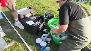 Командный титул Team Sensas на Одре в польских Рогах