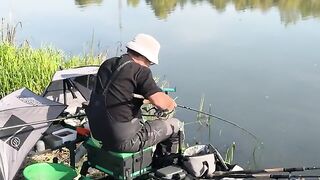 Командный титул Team Sensas на Одре в польских Рогах