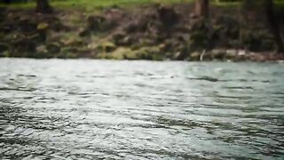 Маленькая форель на воблер Cardiff Folletta на Дунайце