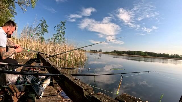 Крупный карась в подсаке на натуральную наживку, Польша