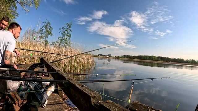 Крупный карась в подсаке на натуральную наживку, Польша