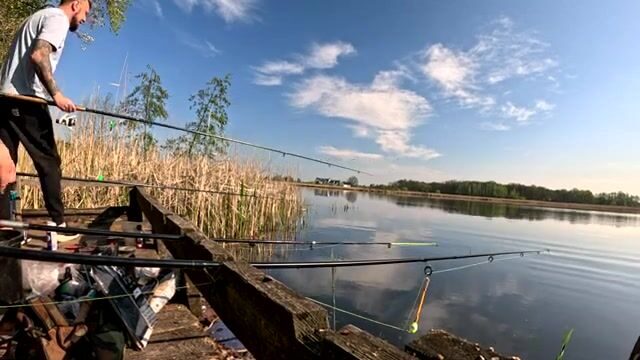 Крупный карась в подсаке на натуральную наживку, Польша