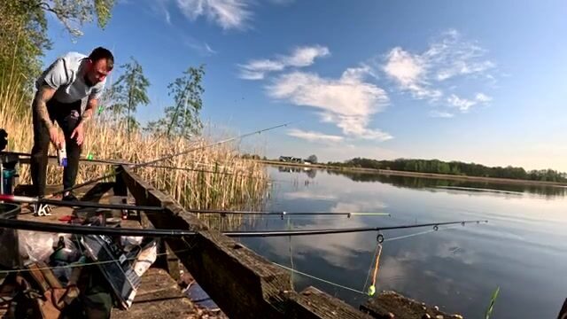 Крупный карась в подсаке на натуральную наживку, Польша