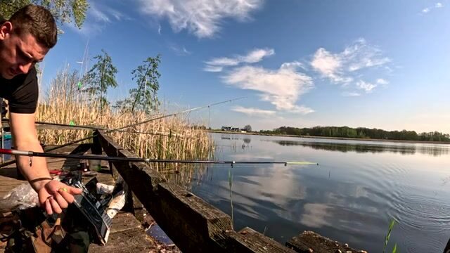 Крупный карась в подсаке на натуральную наживку, Польша
