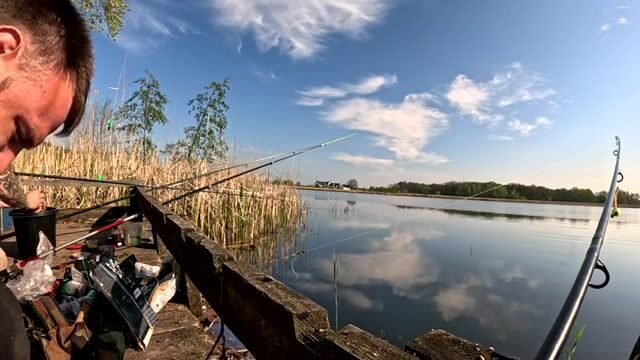 Крупный карась в подсаке на натуральную наживку, Польша