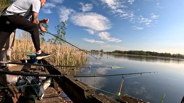 Крупный карась в подсаке на натуральную наживку, Польша
