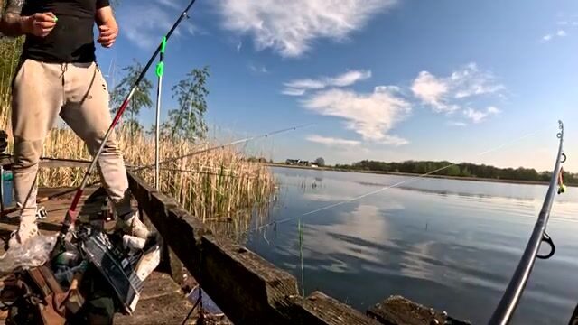 Крупный карась в подсаке на натуральную наживку, Польша