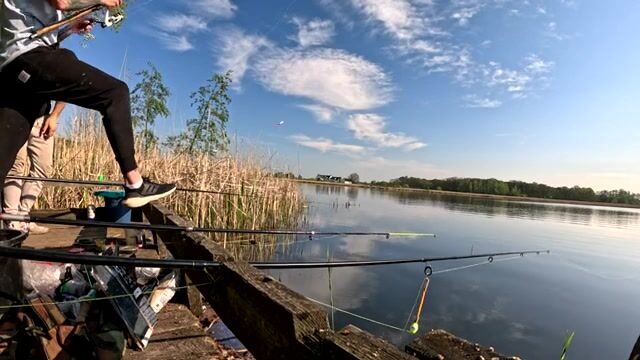 Крупный карась в подсаке на натуральную наживку, Польша