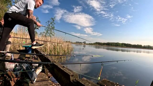 Крупный карась в подсаке на натуральную наживку, Польша