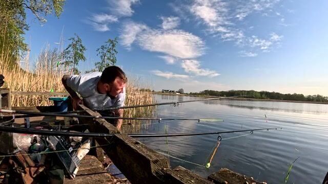 Крупный карась в подсаке на натуральную наживку, Польша